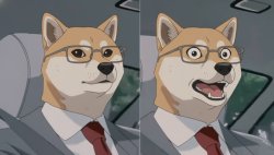 worried hiroshi shiba dog meme Meme Template