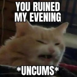 You ruined my evening Meme Template