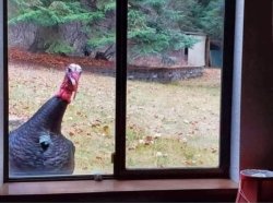 Chrisjoines1 Meme Template