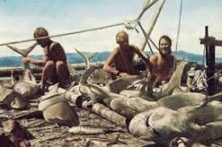 Kon-Tiki Meme Template