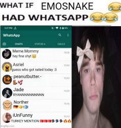 What if Emosnake had WhatsApp (November 2025 edition) Meme Template