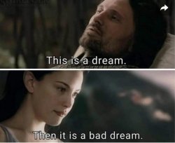 Aragorn this is a dream Meme Template