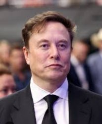Elon Musk smug Meme Template