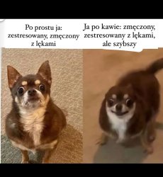 Me vs coffee Meme Template