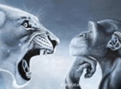 rage bait Meme Template