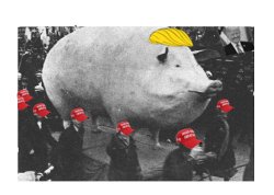 Cult of Piggy Meme Template