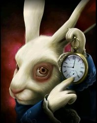 bu gerizekalı napıyor aq Meme Template