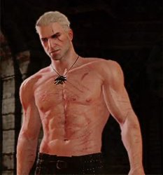 geralt the witcher 3 Meme Template