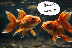 What is water? Meme Template