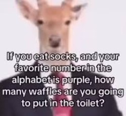 If you eat socks Meme Template