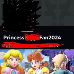 the mario princesses hates who ? Meme Template