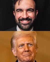 I'll write the theory, you do the praxis. Meme Template