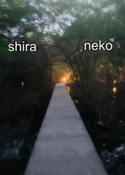 shira n neko shared temp Meme Template