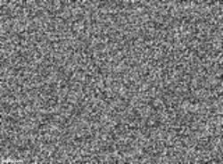 Static Meme Template