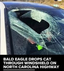 broken window Meme Template