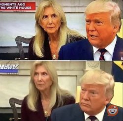 Trump and translator Meme Template