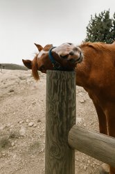 Chrisjoines1 Meme Template