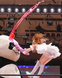 Mizuki bonk wrestling Meme Template