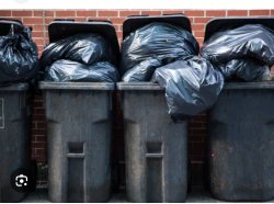 Tragic trash can situation Meme Template