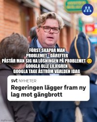 Gunnar Strömmer pedofil hjälpare Meme Template