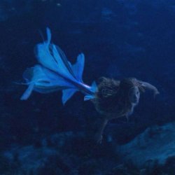 demon mermaid Meme Template