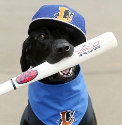 Ripken Meme Template