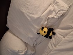 Bee chillin Meme Template