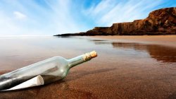 bottle with a message in the beach Meme Template