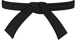 My precious black belt Meme Template