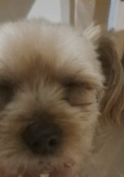 My mom is kinda homeless Meme Template