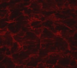 SLUMPEDBYTHE4-009 Meme Template