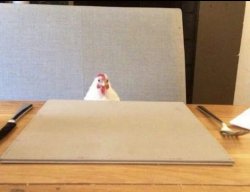 Chicken Meme Template