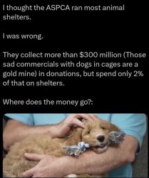 cowboys Meme Template