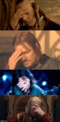 Lord of the Facepalms Meme Template
