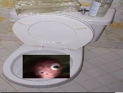 GROWN-789-J Meme Template