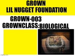 Grown-003 Meme Template