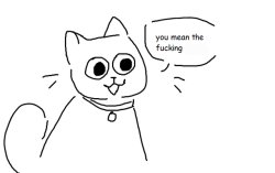 you mean the fucking car? Meme Template