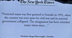 1991 Somalis Protected Status NYT Meme Template