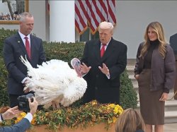 Trump pardons the turkey Meme Template