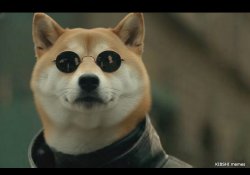 what if i told you meme dog AI meme Meme Template