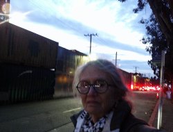 People's Park Meme Template