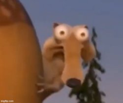 Squirrel Stare Meme Meme Template