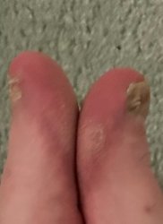 Damn that’s Crazy Meme Template