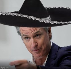 Gavin Newsom Sombrero Meme Template