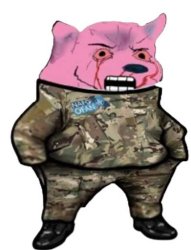 nafo wojak Meme Template