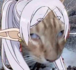 Frieren remembers | cat Meme Template