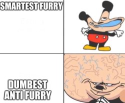 Smartest furry vs dumbest anti furry Meme Template