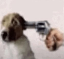 Sad Dog Meme Template