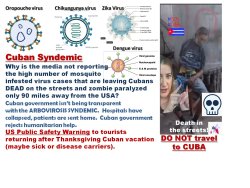 Cuban Syndemic Arbovirosis Meme Template