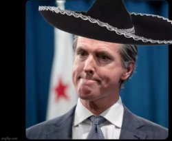 Gavin Newsom Sombrero Meme Template